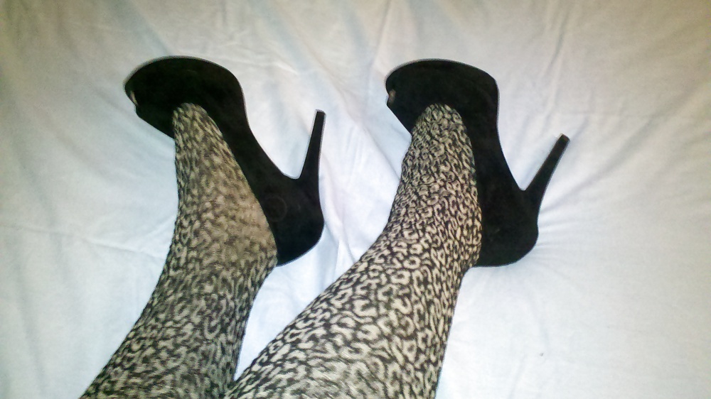 Leopard 2 #16834856