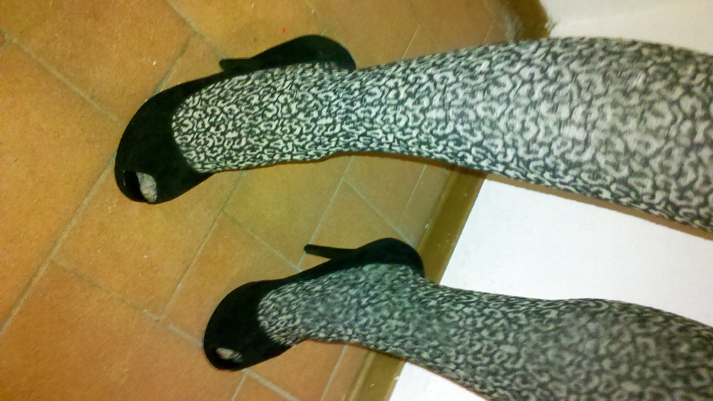 Leopard 2 #16834957