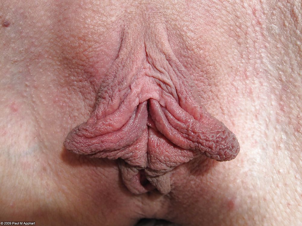 Examples of my labia photography #2496451