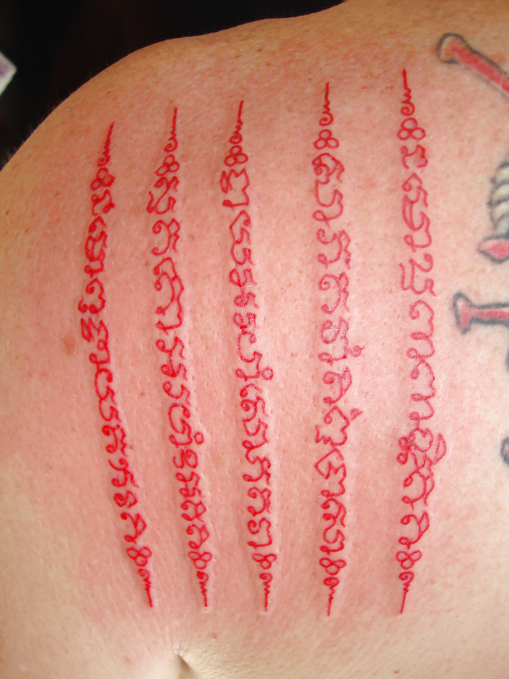 幸せな日々
 #10547971