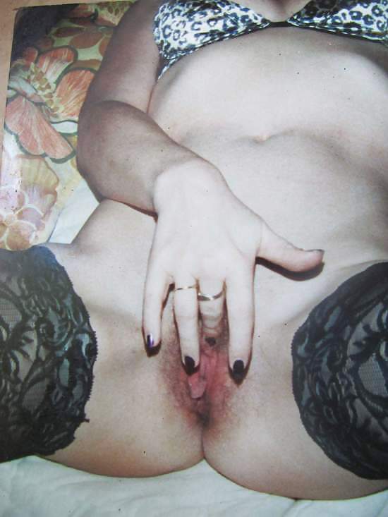 Sylvia gemischt #8324841