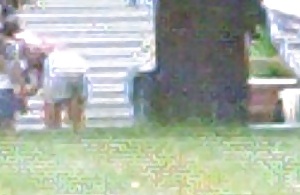 Spying on Neighbor #2680712