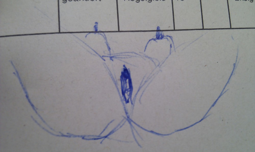 Zeichnungen bzw Kritzeleien #8473993