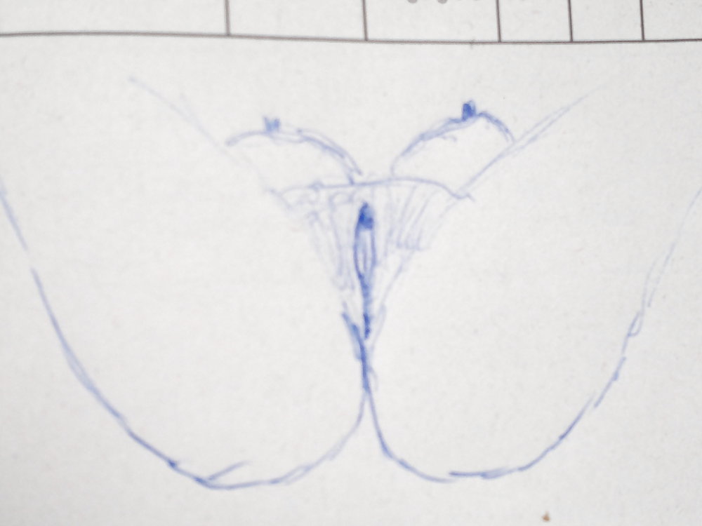 Zeichnungen bzw Kritzeleien #8474003