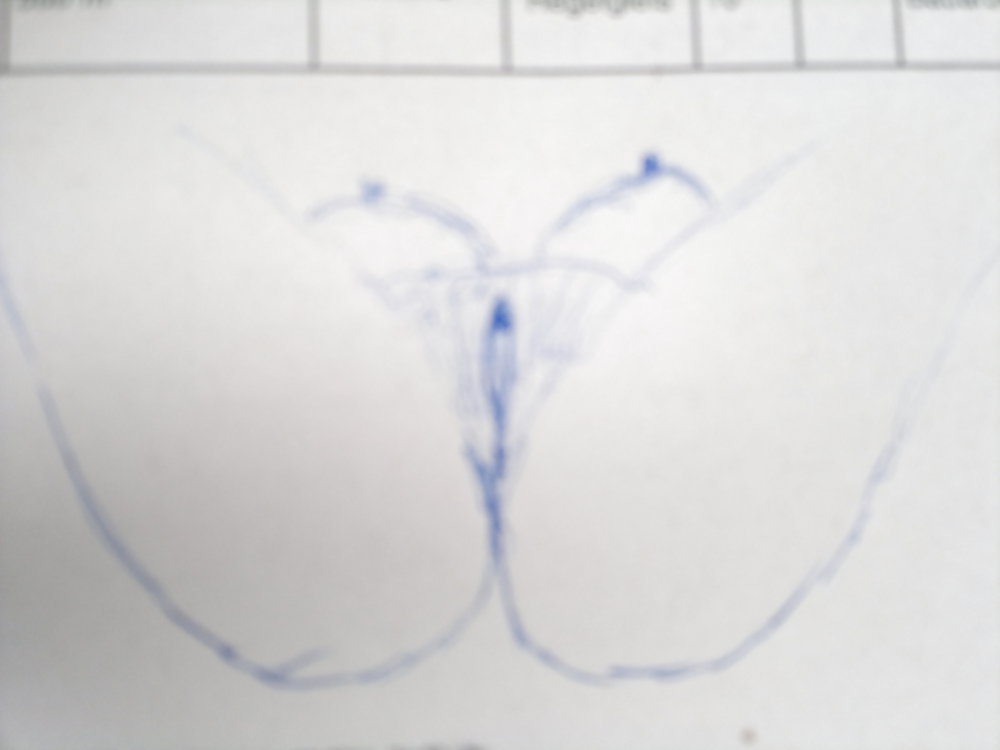 Zeichnungen bzw Kritzeleien #8474027