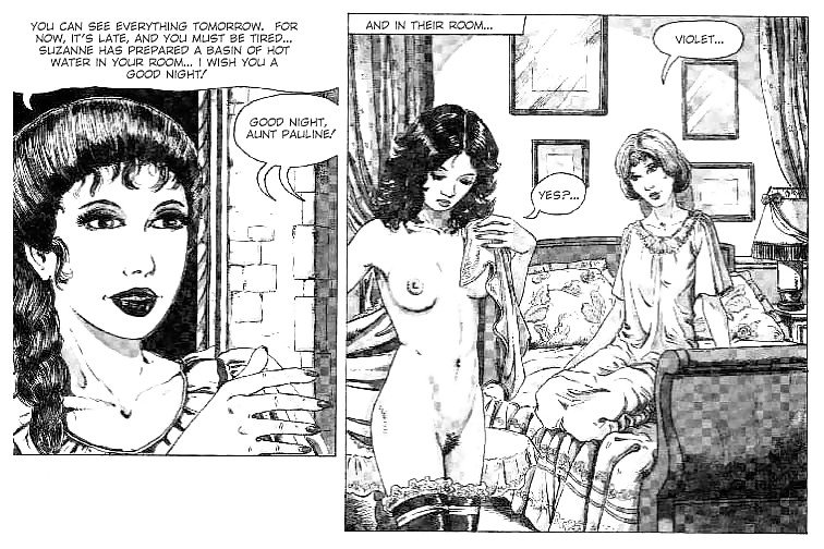 Erotic Comic Art 22 - Aunt Paulines Secret 1 #19368684