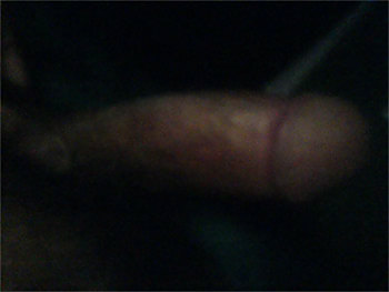 The legion
 #10590566