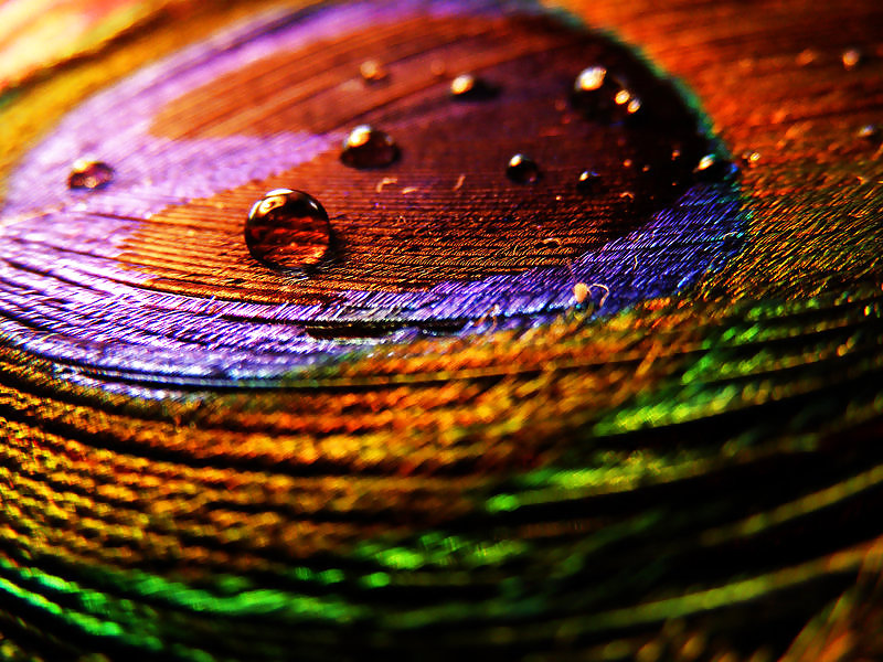 Colours: Rainbows all around the build #10025513