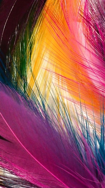 Colours: Rainbows all around the build #10025631