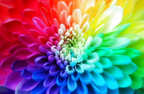 Colours: Rainbows all around the build #10025637