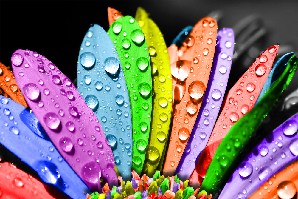 Colours: Rainbows all around the build #10025674