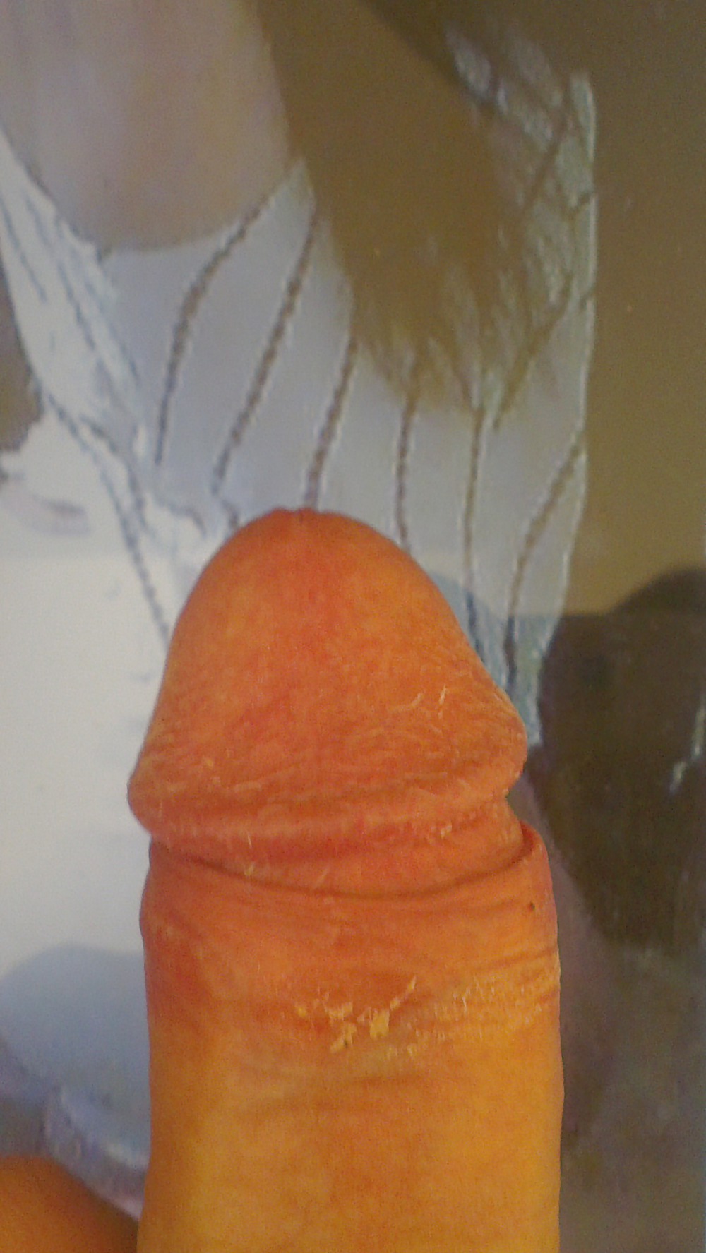 Michellvazquez
 #21984963