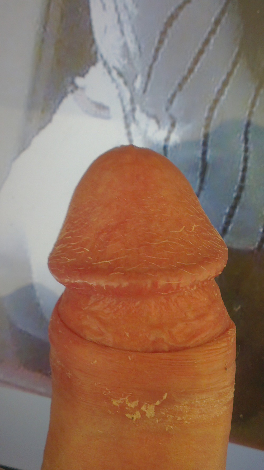 Michellvazquez
 #21984984