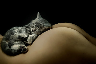 Asses and Pussy(cats) #19145105