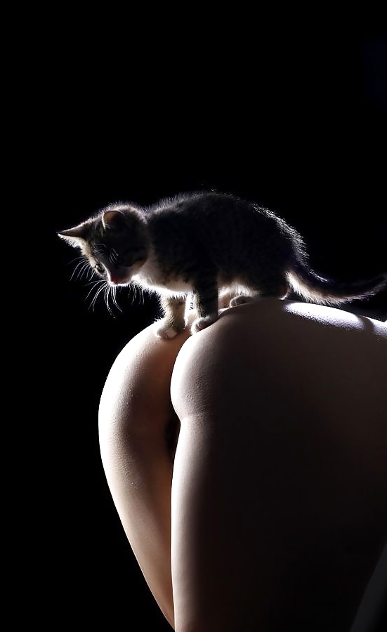 Asses and Pussy(cats) #19145107