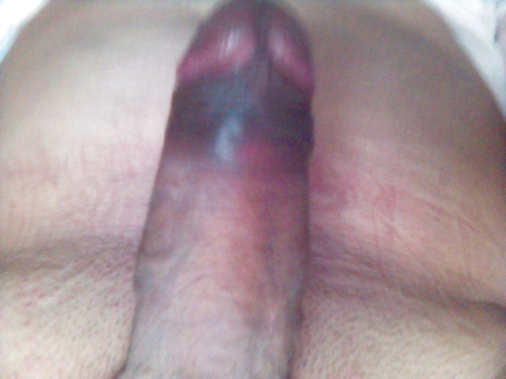 My cock #3499210