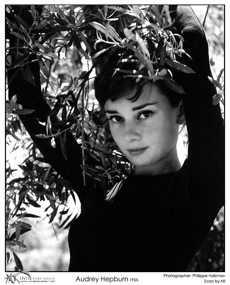 Audrey Hepburn Rip #12067636