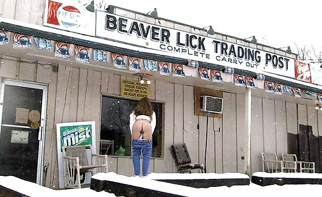 Beaver lick #13158950