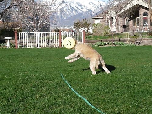 Funny Pics 8 #16562994
