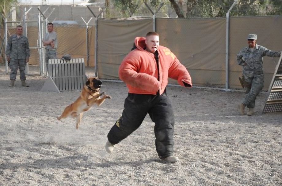 Funny Pics 8 #16563018