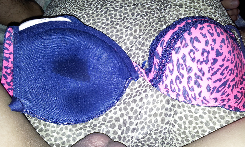 Cumming on my frens sister's la senza bra #10714966