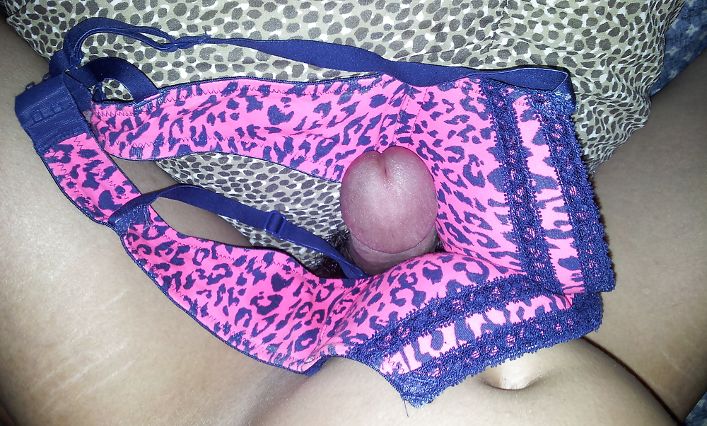 Cumming on my frens sister's la senza bra #10715005