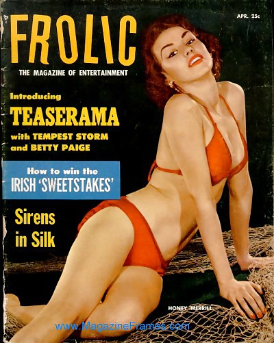 Vintage Magazine Covers #11199211