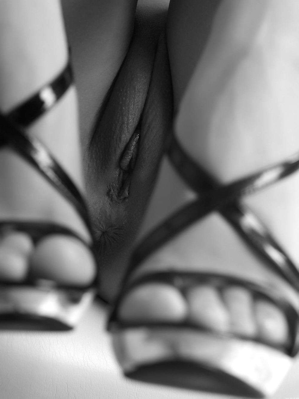 Erotic in Black and White - Session 2 #11016022