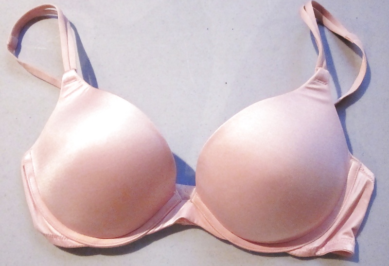 Sostenes melanies
 #21214338