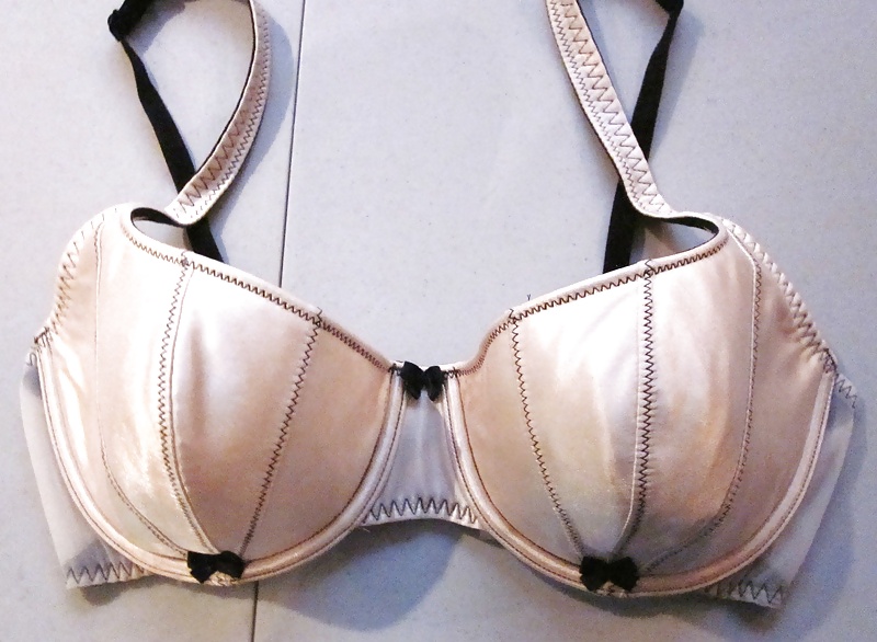 Sostenes melanies
 #21214344