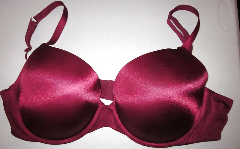 Sostenes melanies
 #21214349