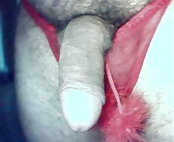 String Farbe 21 #287984