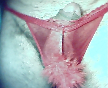 String color 21 #288140