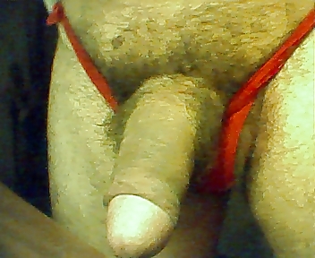 String color 21 #288269