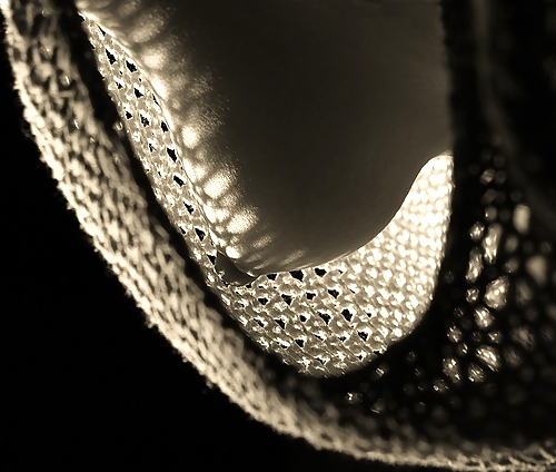 But you'll never follow me... #14922403