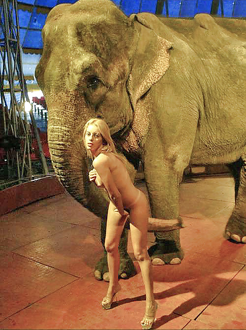 ELLIE and her FRIEND #3655144