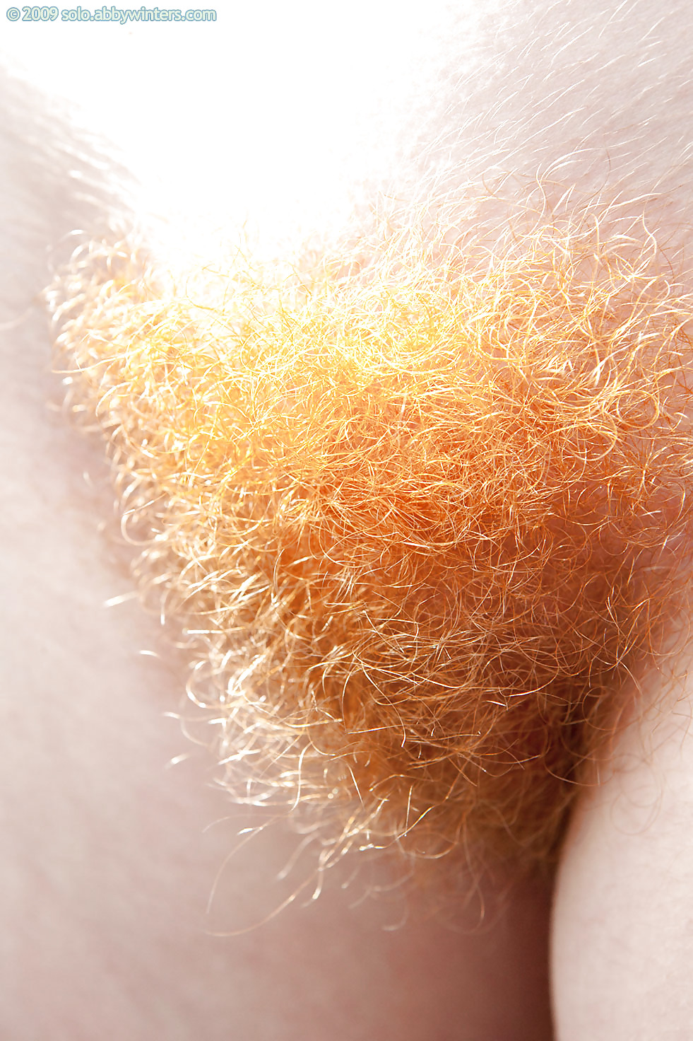 Hairy Red Pussy #1243908