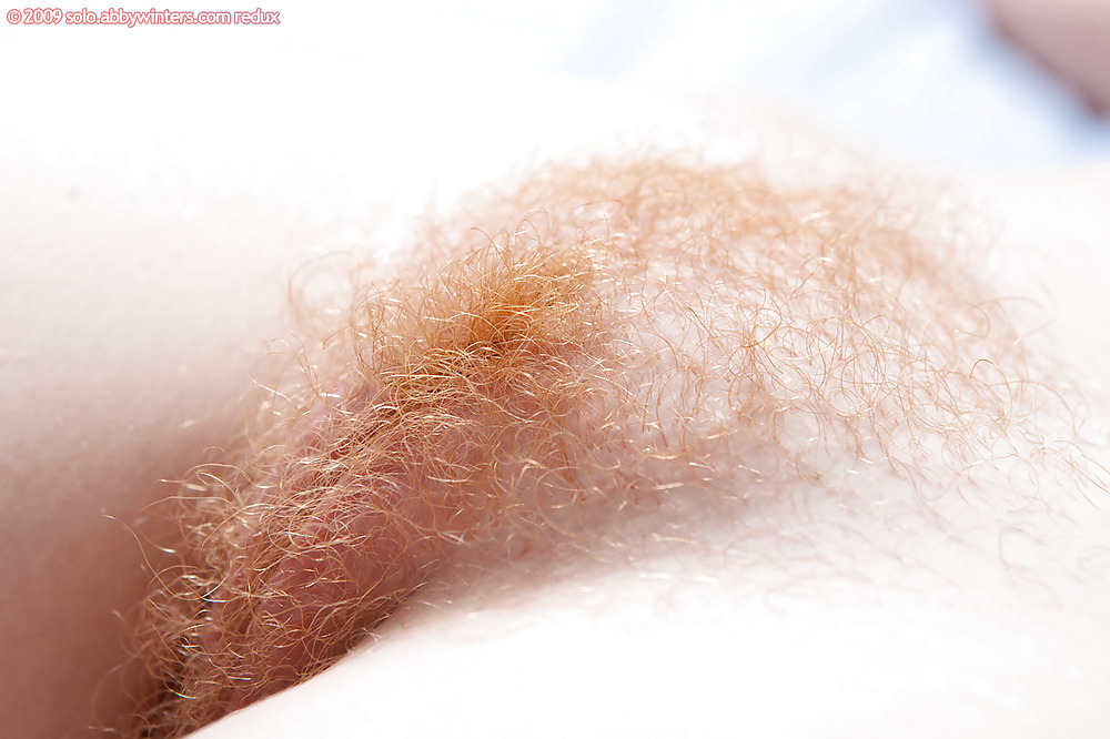Hairy Red Pussy #1243944