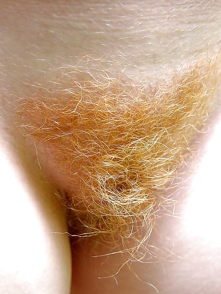 Hairy Red Pussy #1243955