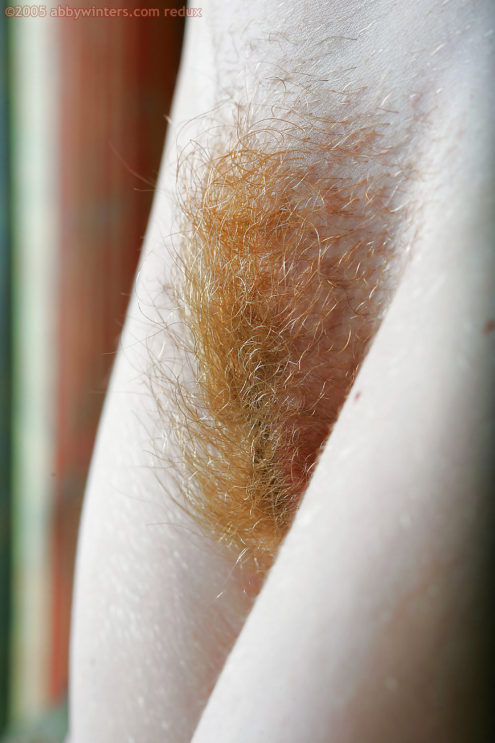 Hairy Red Pussy #1244001
