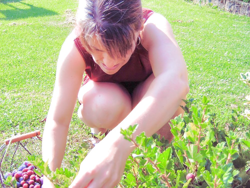 Sangha in the garden #17477182