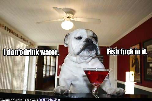 Alcohol Related #10148597