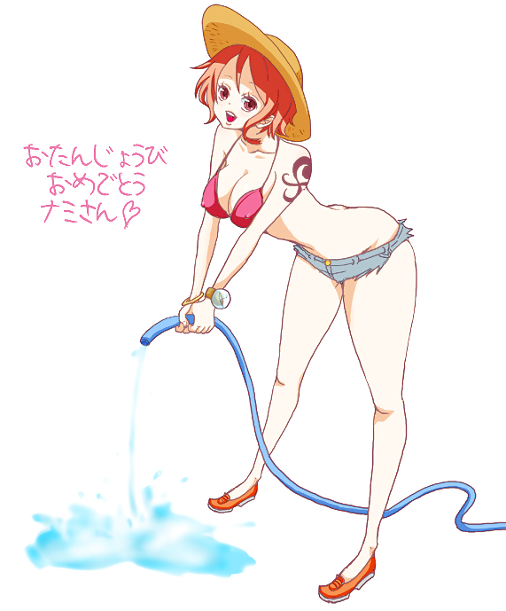 Nuovo nami & one piece
 #1569640