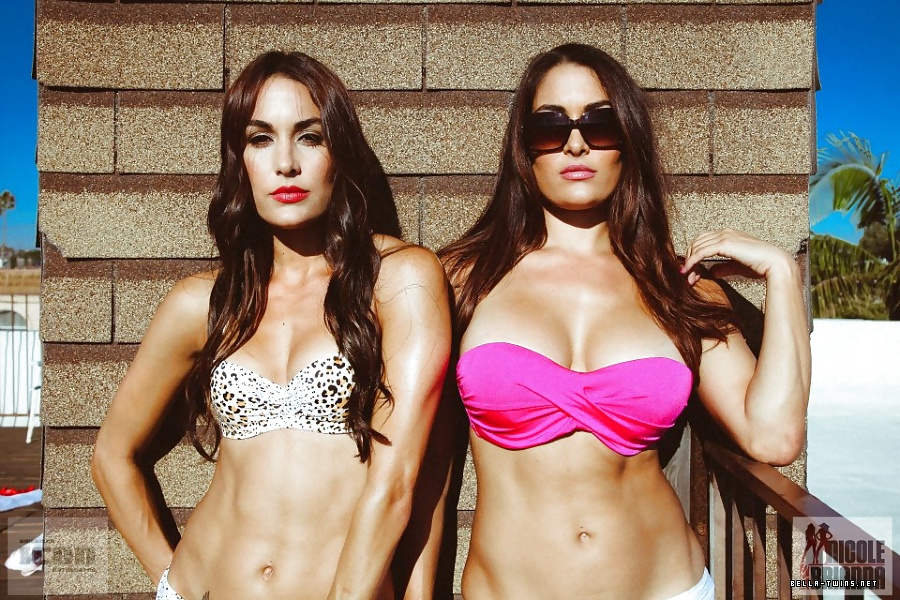 WWE Divas Hot Nude Gallery #13195242