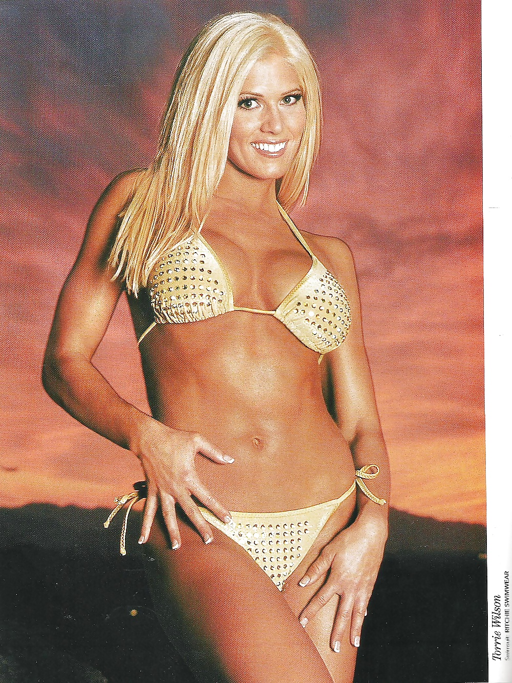 Wwe Divas Galerie Nue Chaude #13196393