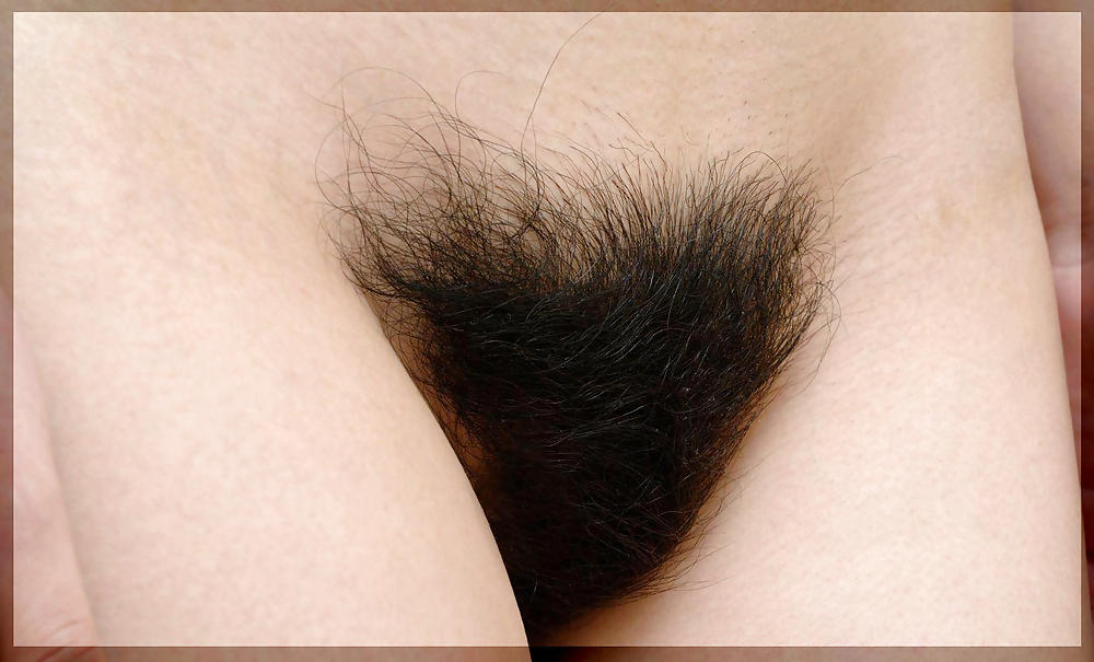 Only Hairy Pussy #11335943