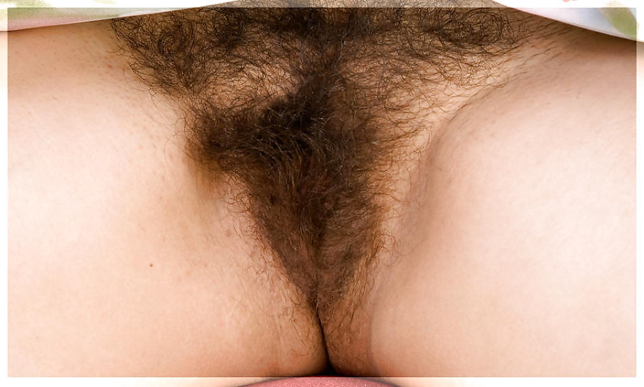 Only Hairy Pussy #11335993