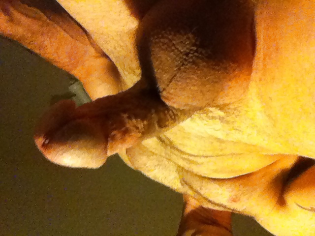 More cock shots #8878637