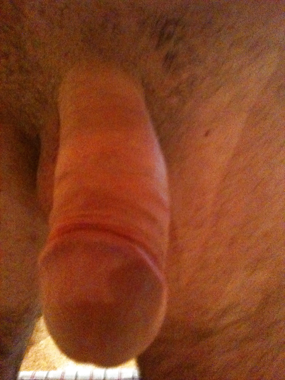 New Cock Pic enjoy and comment #10948212