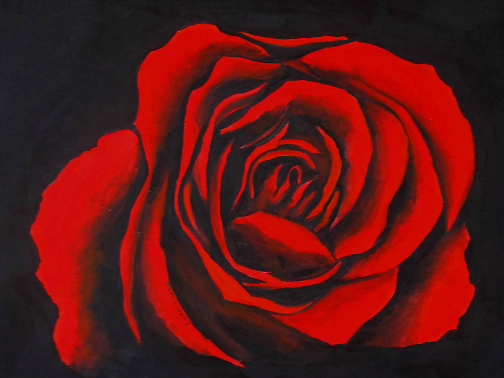 赤い赤いバラ
 #14013286